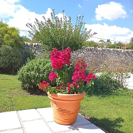 Annare 빌라 마르티나프란카